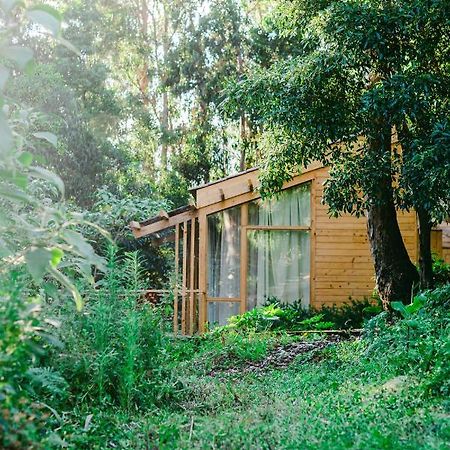 Cabanas Da Viscondessa Urzelina Eksteriør billede